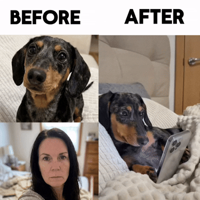Pet Gets Caught Scrolling Past Bedtime By YOU