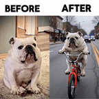 Turn Your Pet Into a Wanted Criminal!